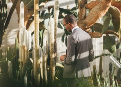 Man standing with his back toward the camera next to cactii