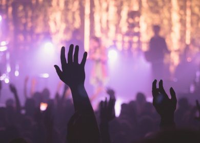 Hand up in the air in a crowd in front of a stage