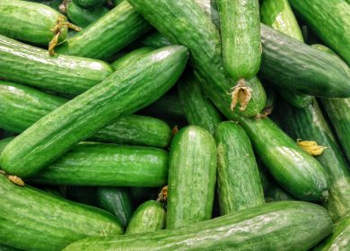 Pile of cucumbers
