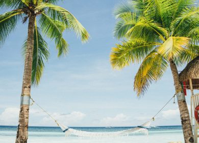 Hammock between two palm trees on a beach