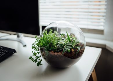 Fish bowl vase with plant inside next to a computer screen and window with blinds