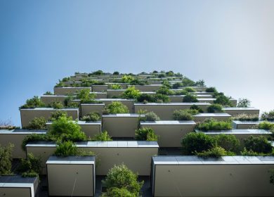 View from the bottom of building with patios full of trees growing out of them