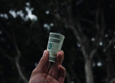 Hand holding up a roll of money against trees in the background