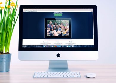View of computer with a pot of flowers to the left of it